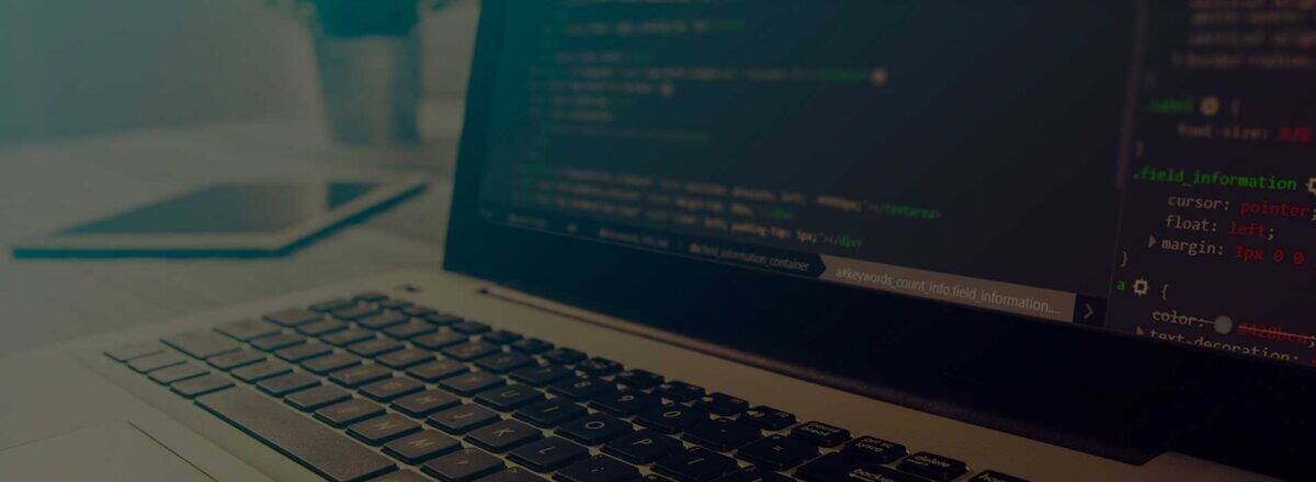 custom wp plugins